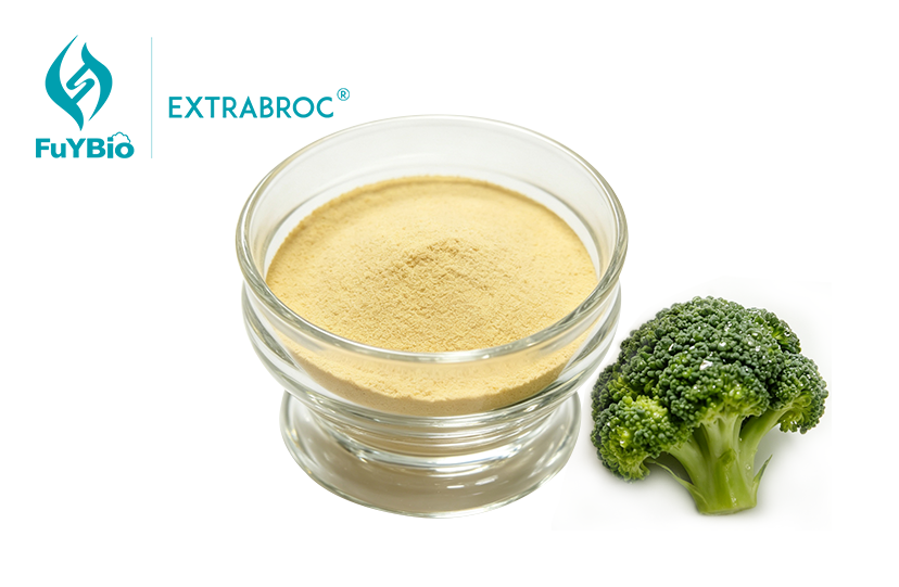 Broccoli Extract Powder Bulk